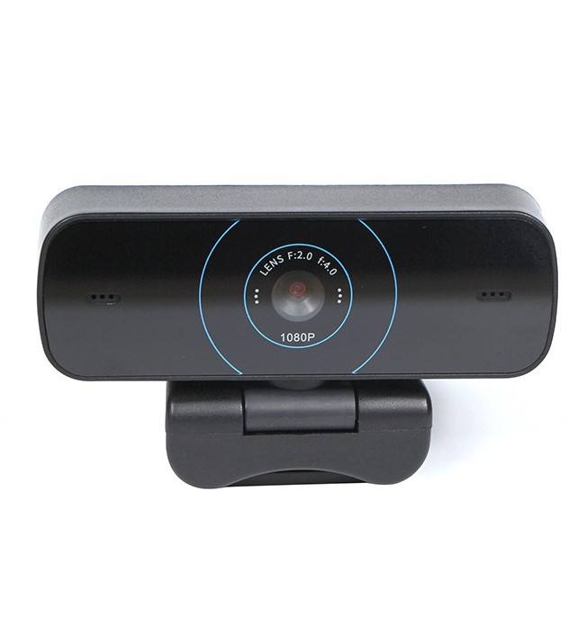 Dual Microphone Conference (Variant H8)